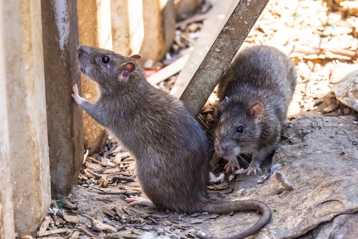     / Источник: © IMAGO/Arnulf Hettrich/Global Look Press