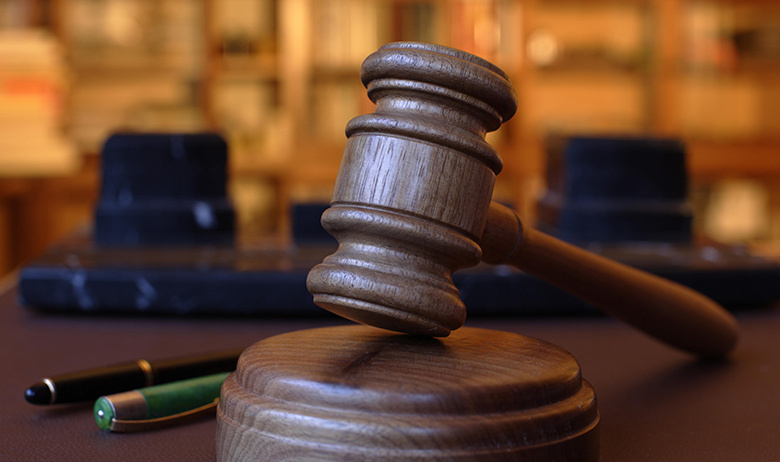    Jiri Hubatka/imageBROKER.com/Global Look Press