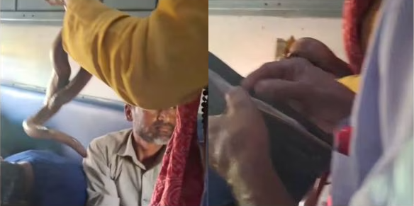 Трясет змеей прямо перед ухом