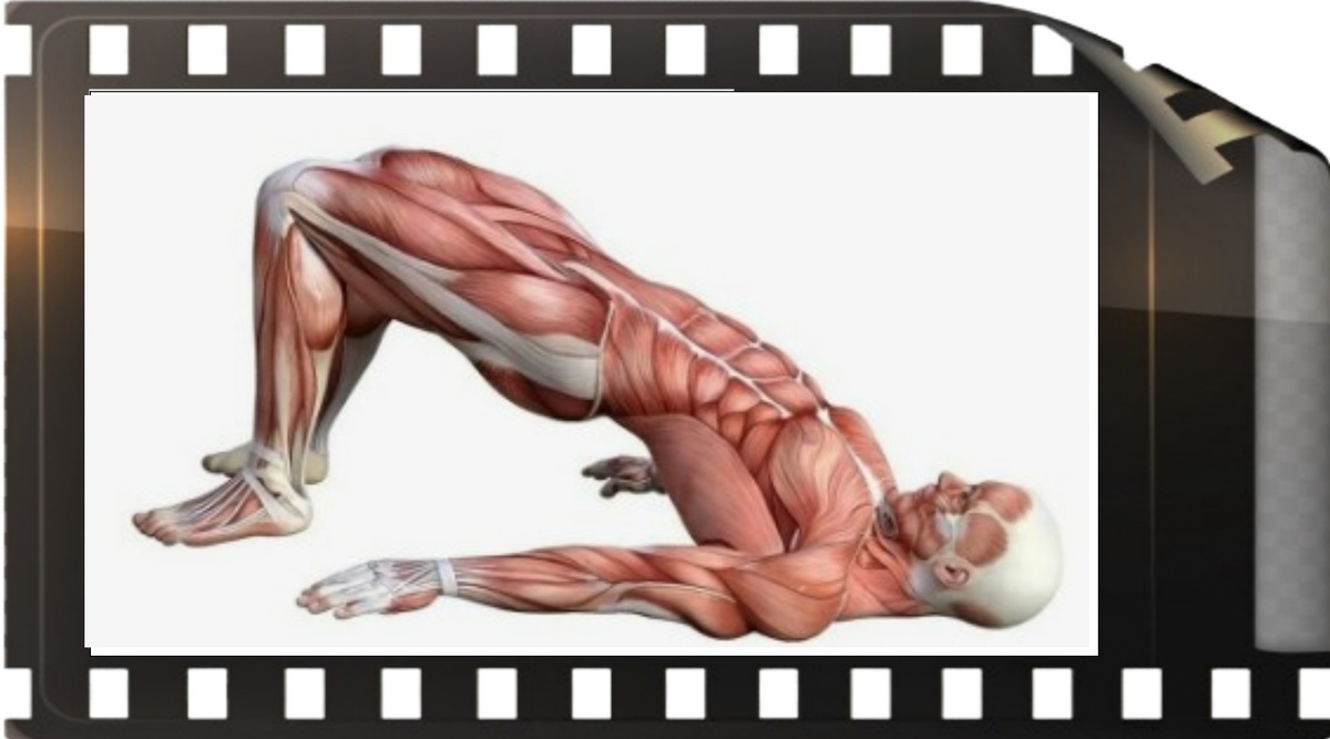 Упражнение «Мост»