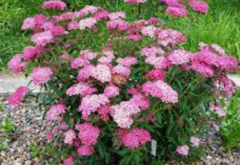    Источник фото: