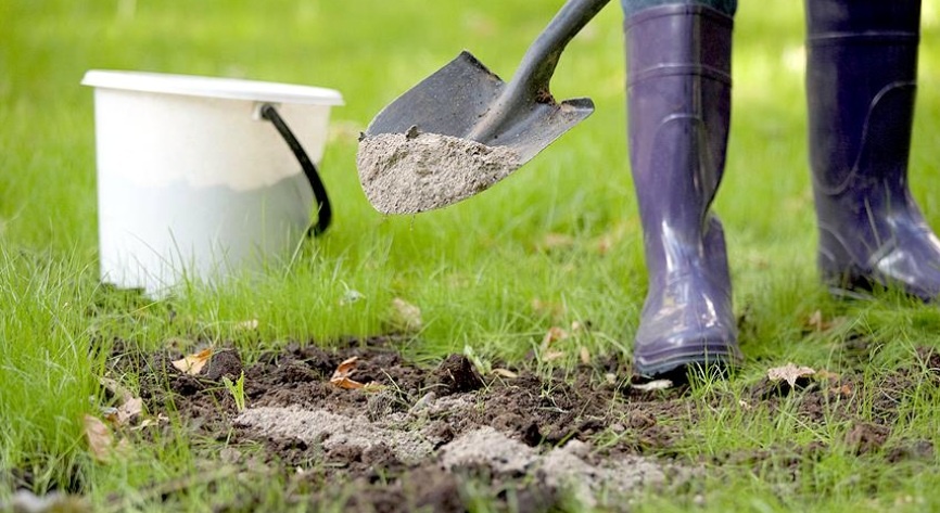Так доломитовую муку не вносят - и грунт так не раскисляют. 3 неявные ошибки - и доломитка лишает плодородия и “медвежья услуга” почве
