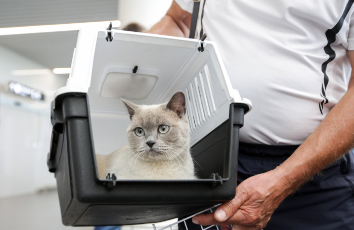    Марина Лысцева/ТАСС