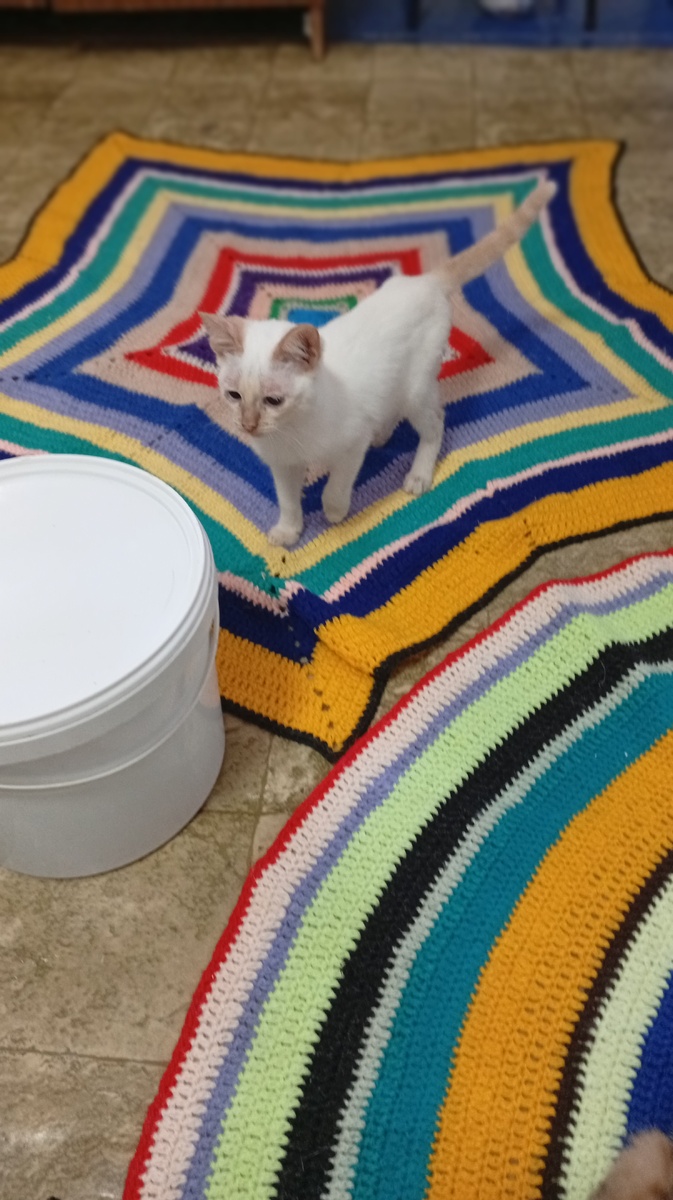 Фото из личного архива