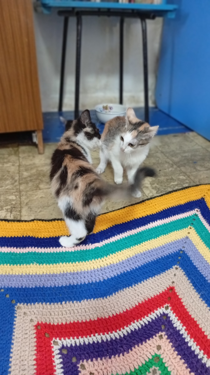 Фото из личного архива