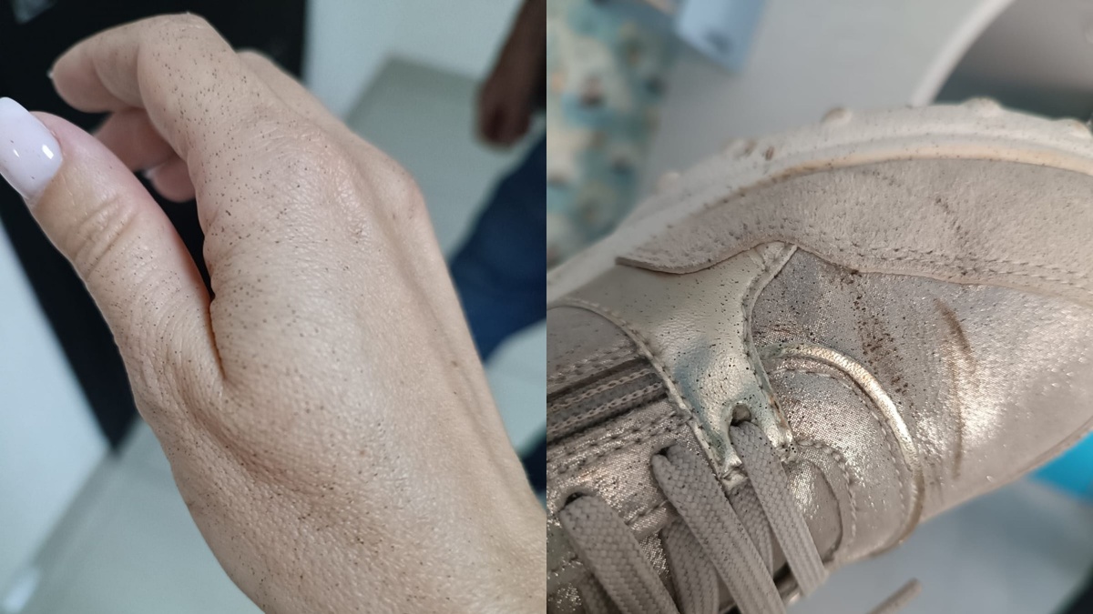    Фото: читатель Прецедента