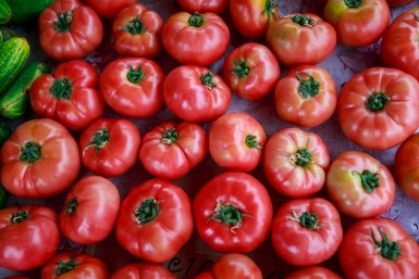 Не кладу помидоры в холодильник — свекровь научила, как 2-3 месяца сохранить их свежими  📷
