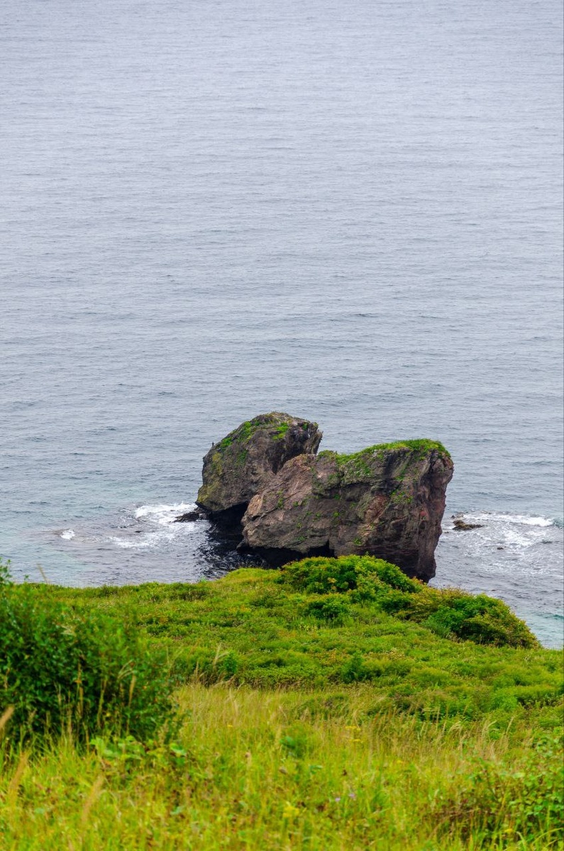 Кекур пьющая утка