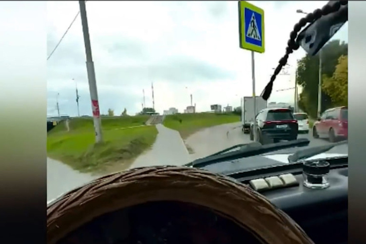    Видео из ТГ-канала Ирины Волк