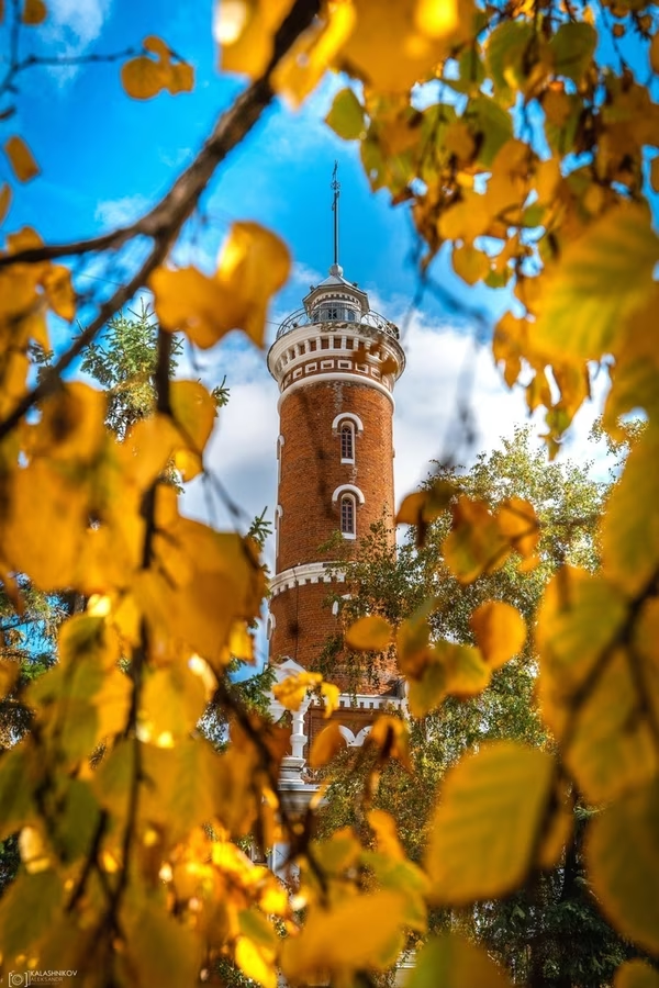 Фото взято из открытого источника