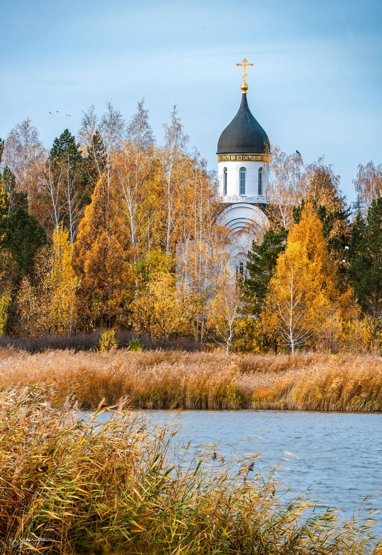 Фото взято из открытого источника