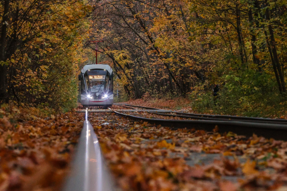    Сергей Булкин/NEWS.ru