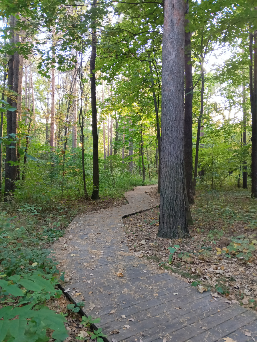 Эко-тропа на ВДНХ