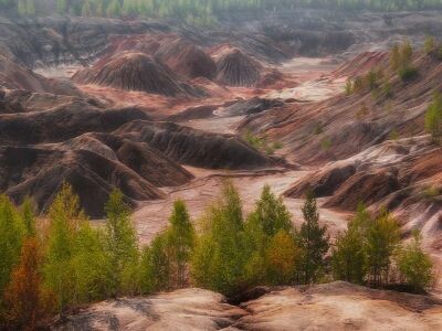    Илон Маск анонсировал миссию по доставке земной теплицы на Марс