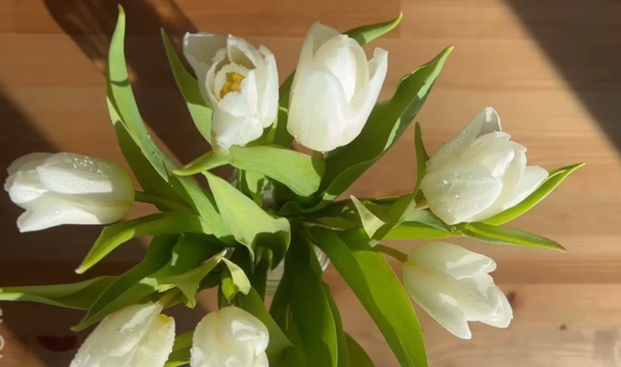 Фото Островской Е.Ю.