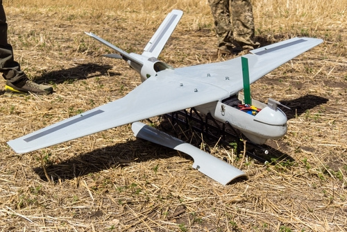    Shutterstock/FOTODOM