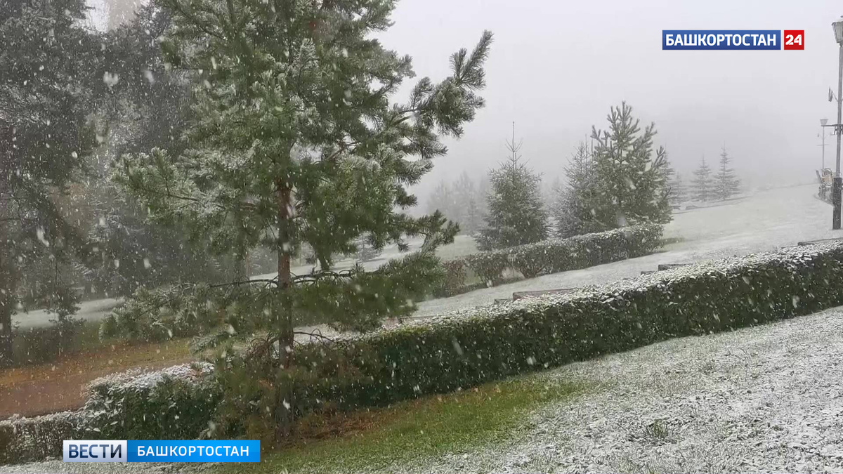    Дождь со снегом и -5: осень в Башкирии вступает в свои права