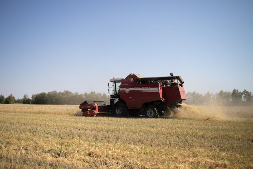    Уборочная. Комбайн. Источник: Анна Меньшикова