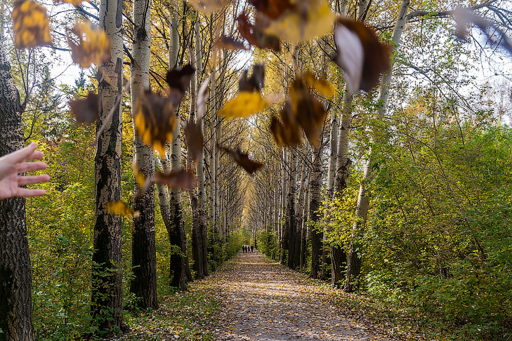    Фото Андрея Заржецкого