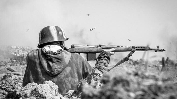    Фото: Artem Mishukov / Shutterstock.com