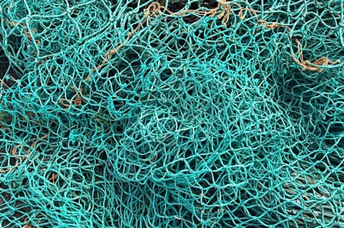    В Мелекесском районе задержали браконьера с карасями, лещами и сетью