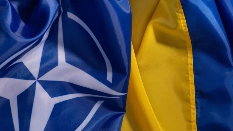    Фото: Anna Aybetova/Shutterstock/Fotodom