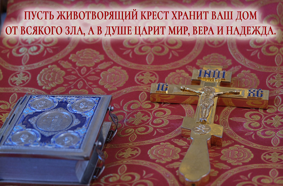 Фото из интернета.