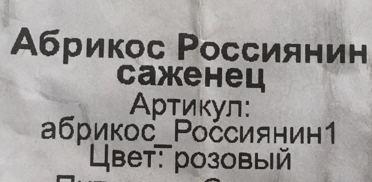 И его посадила 