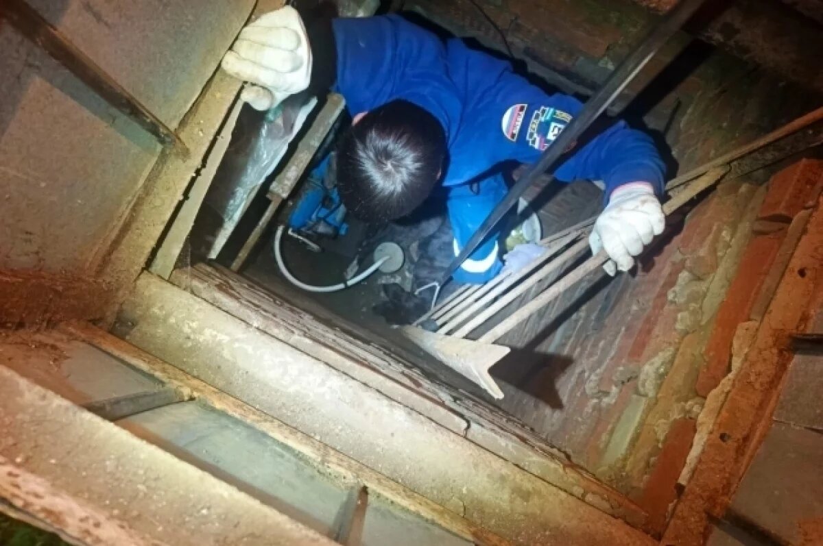    В Уфе спасатели помогли дворняге, которая провалилась в погреб