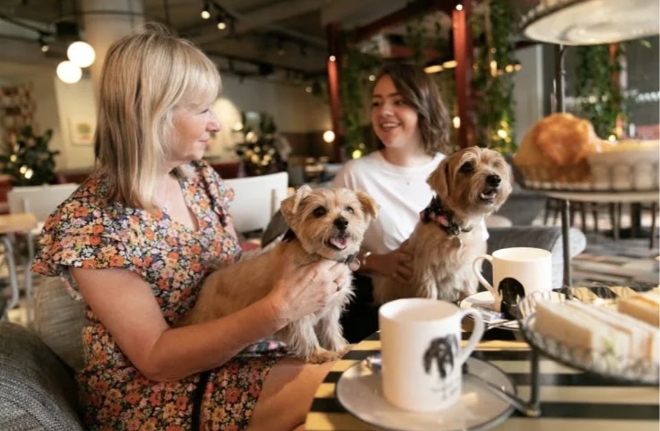 Такое, конечно, возможно только на «загнивающем западе», мы и друг другу почти перестали улыбаться. Зато искренне. (Сарказм)