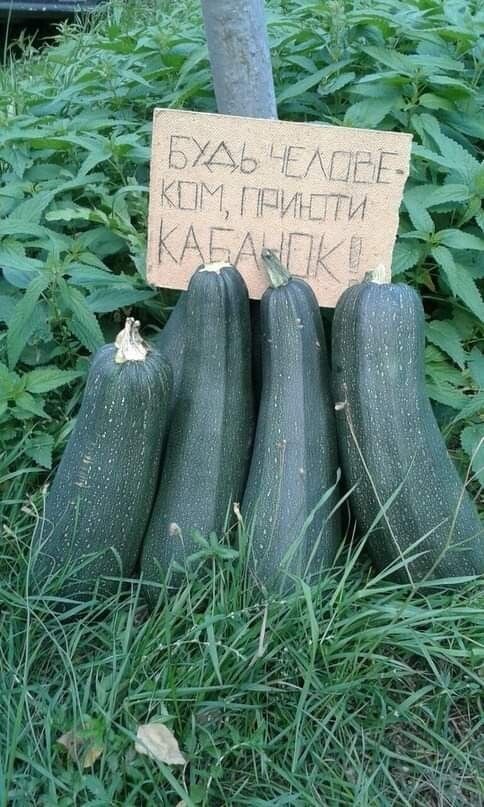 Источник: https://i.pinimg.com/736x/14/12/ae/1412ae01550153acb56eec464239c38d.jpg