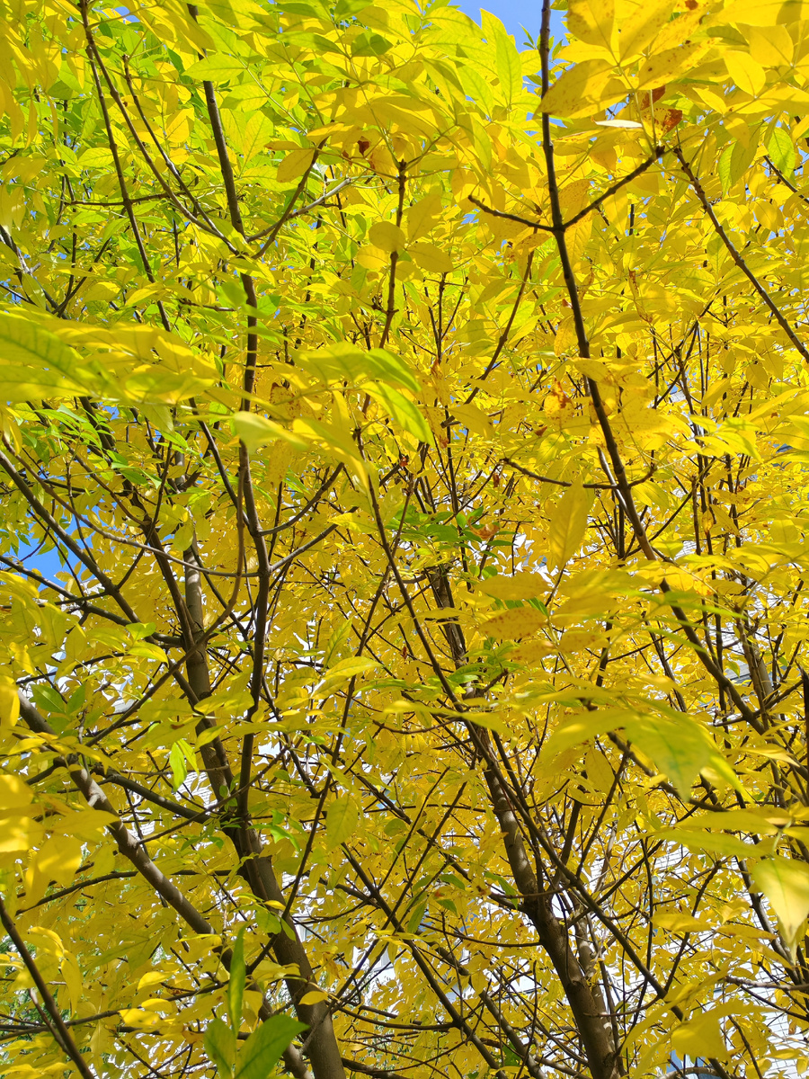 Будьте счастливы