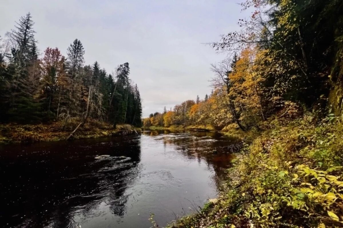    В Псковской области полно мест, о которых почти никто не знает