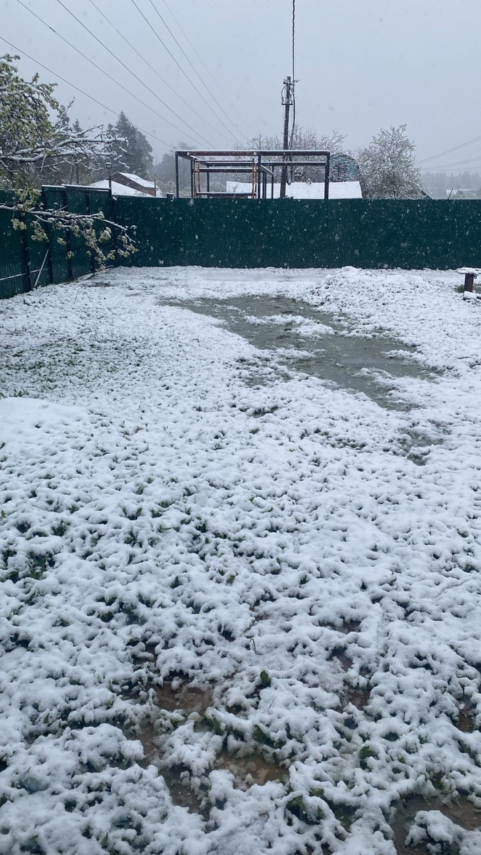    Морозы нагрянут раньше срока: Гидрометцентр сообщил жителям России точную дату прихода зимы