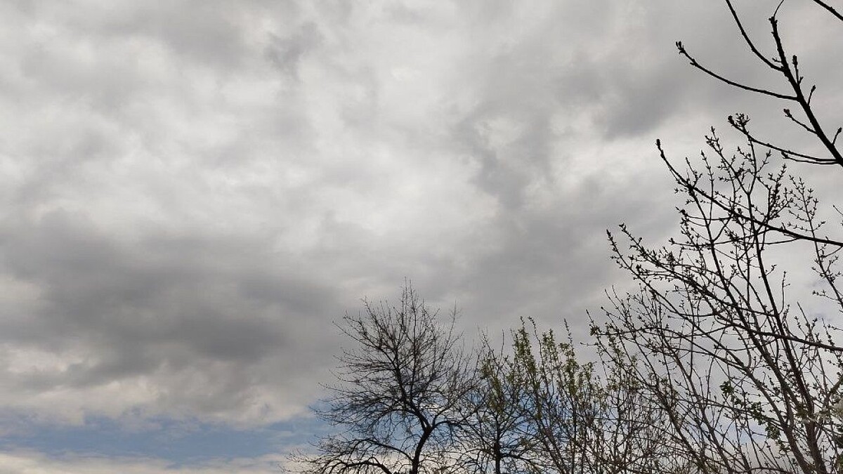    Фото: телеканал «Краснодар»