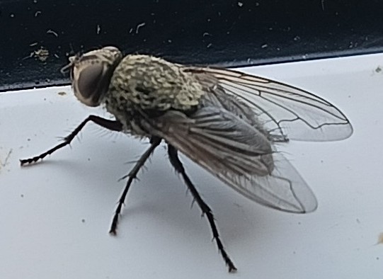 Из личного архива