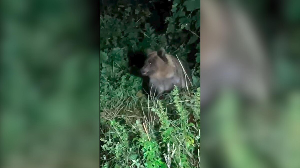    Фото: t.me/kazdoytvaripopare