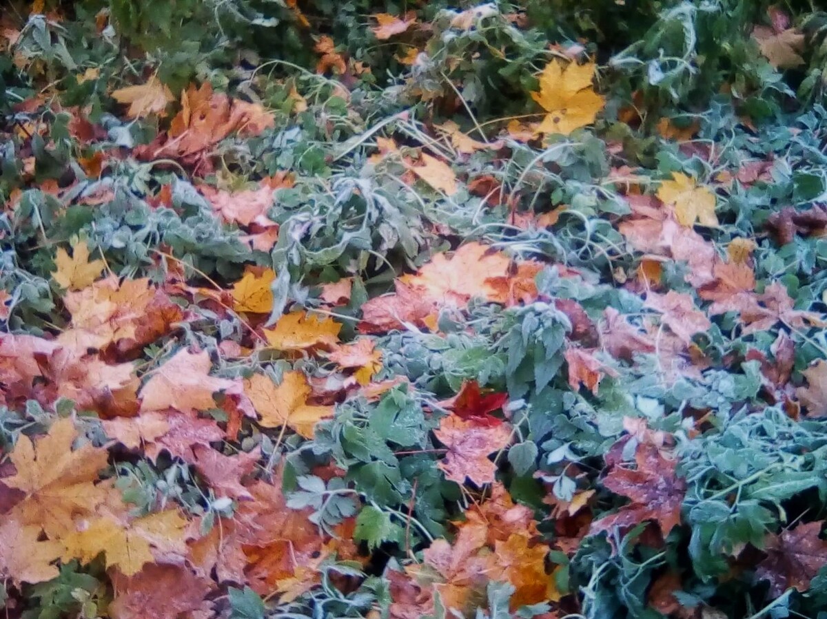 Фото: «Рассвет LIVE»