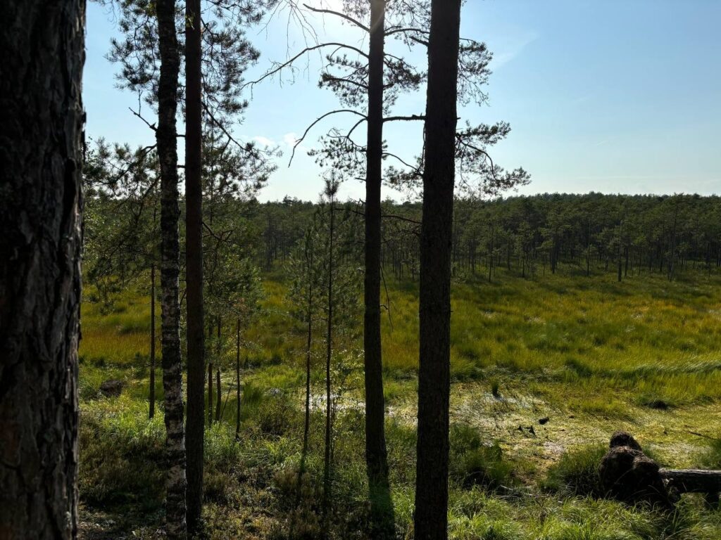    Фото: smolnarod.ru