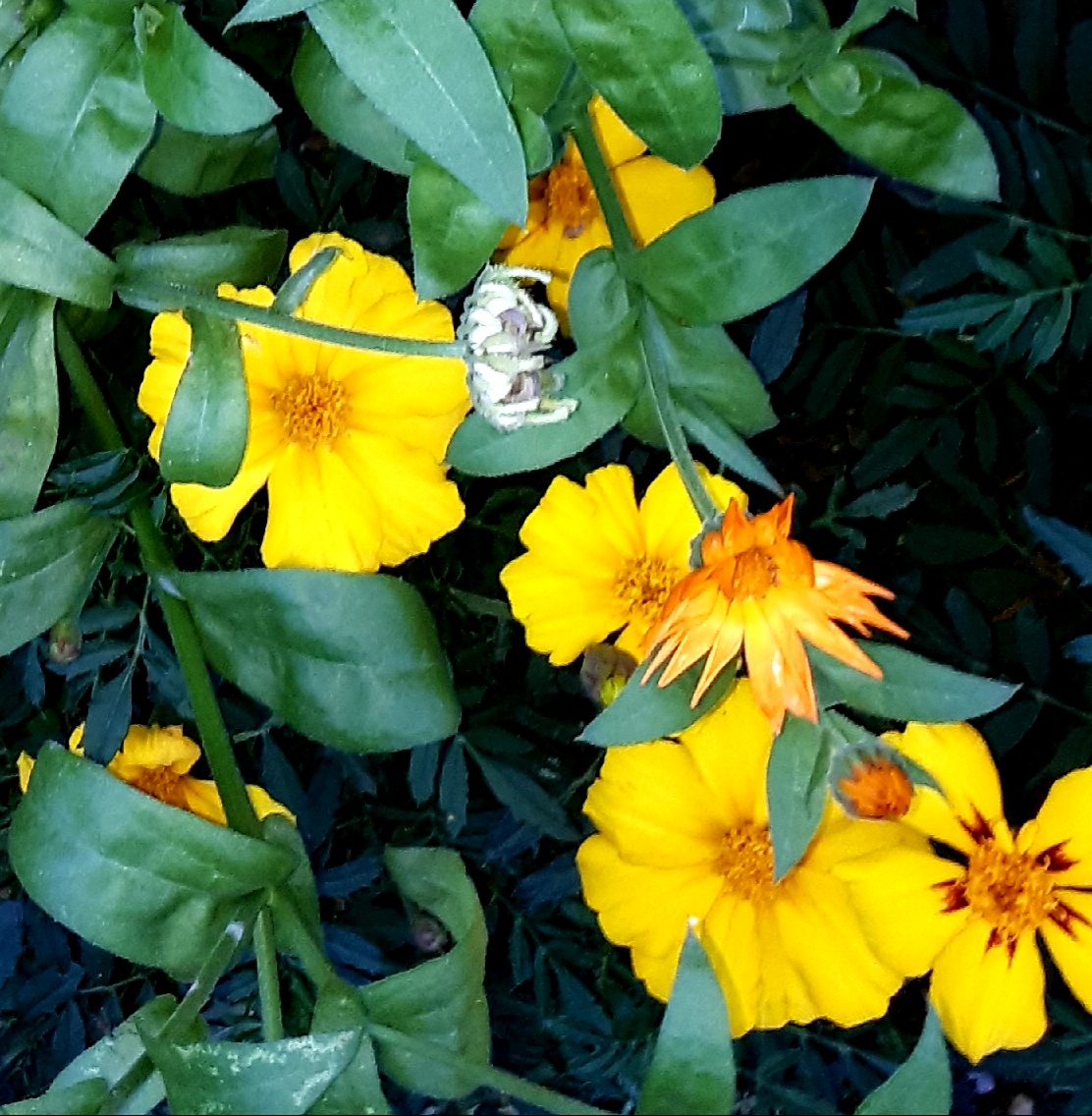 Фото автора 26.09.2025г.