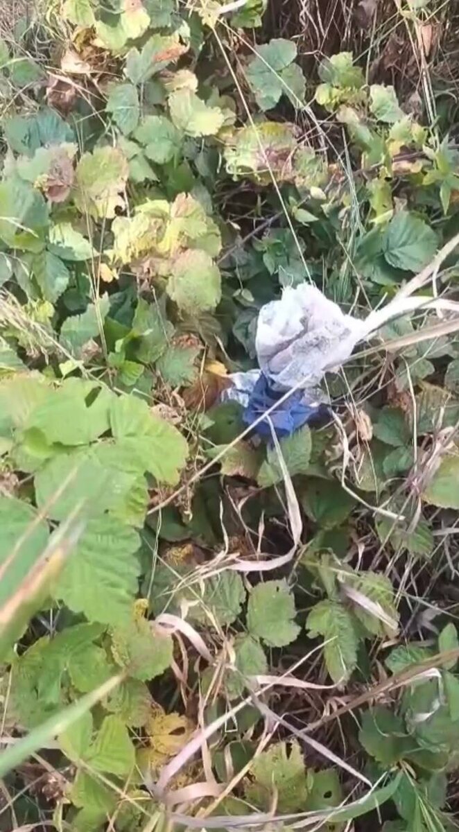 Вот она - находка. Фото из архива автора