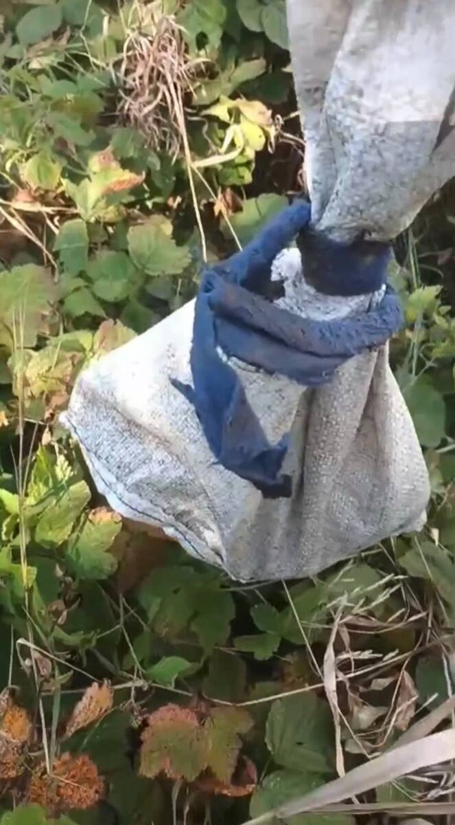 Завязан мешок от души, развязать сложно. Фото из архива автора