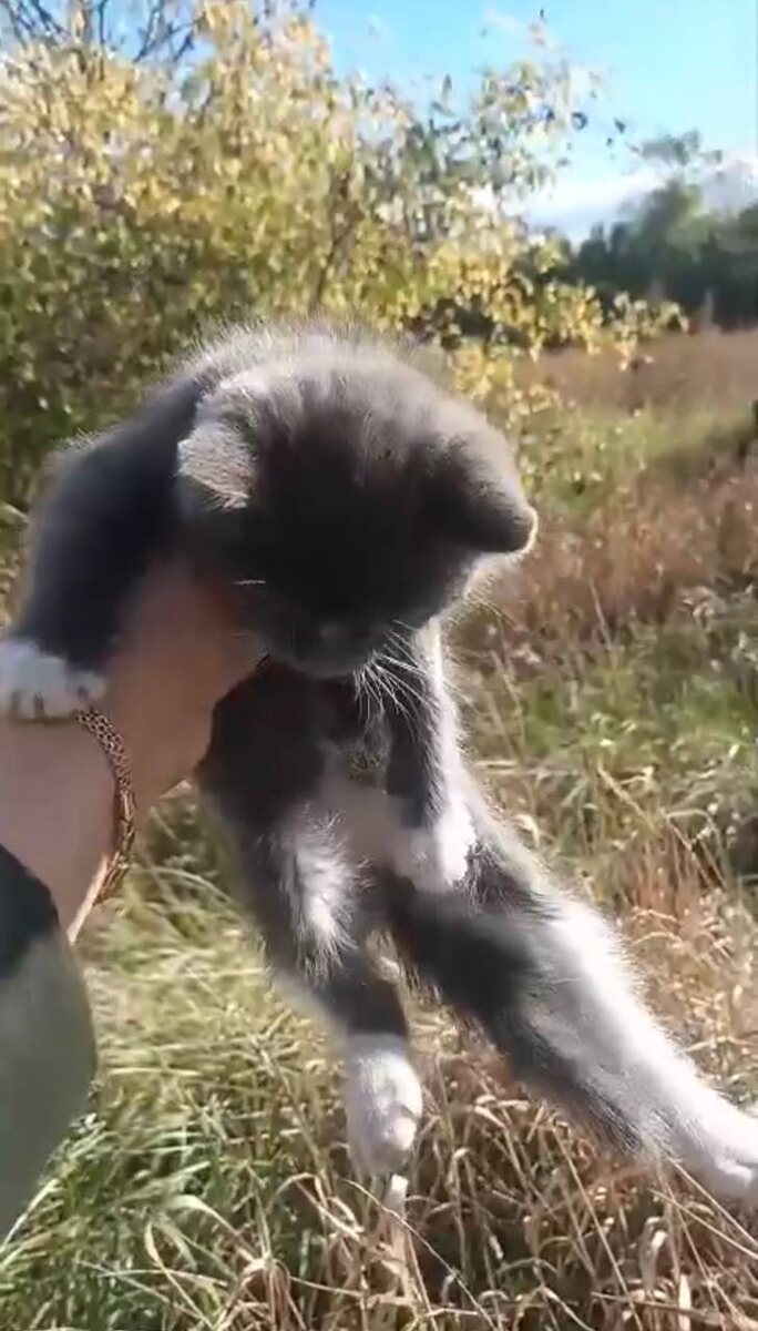 А внутри вот такая крошка. Фото из архива автора