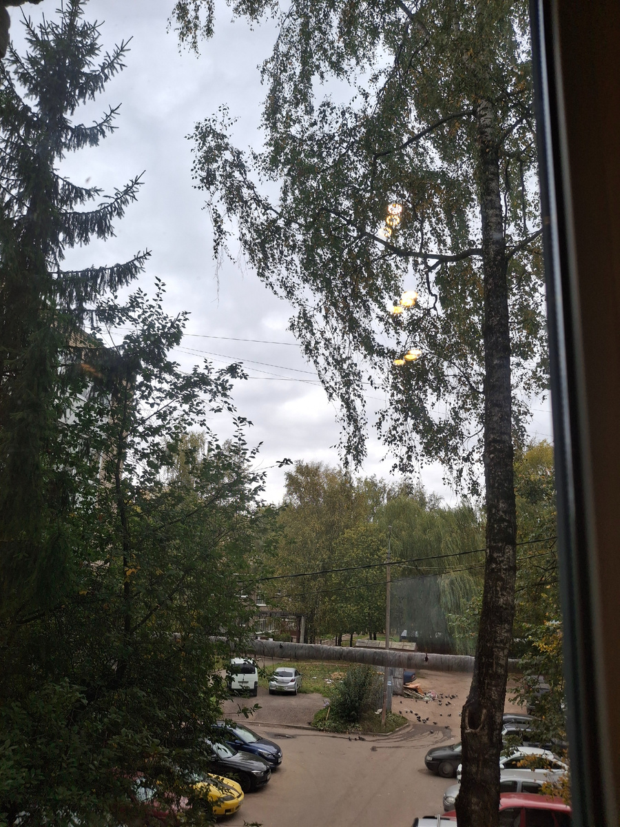 Фотография сделана автором статьи:  сентября в Смоленске .