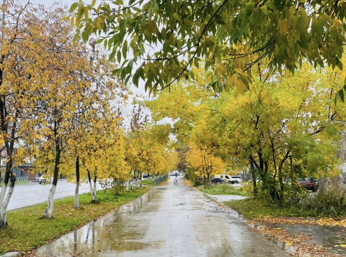 Мокры осенний Первоуральск