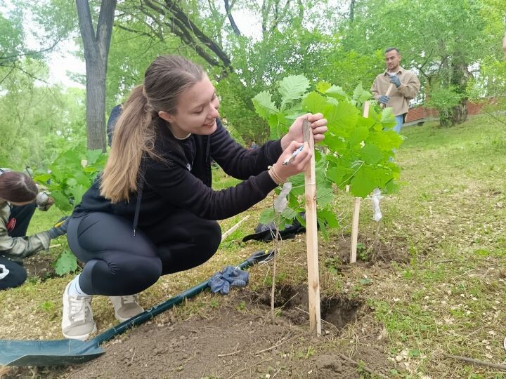    Фото:Виктория Андреева