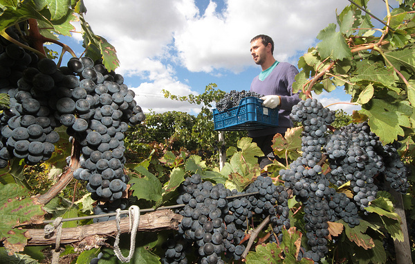 Алексей Павлишак/ТАСС