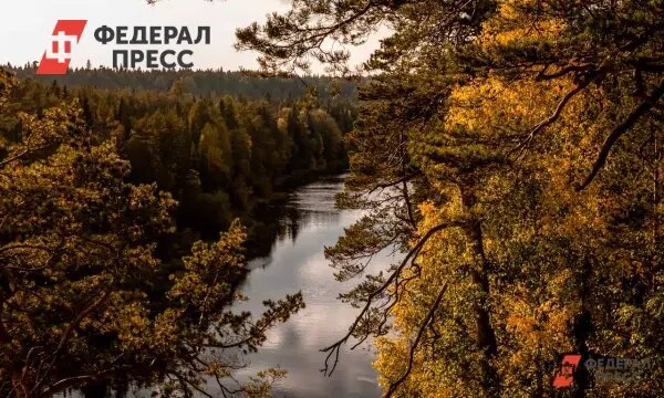    Фото: fedpress.ru Павел Евсеев