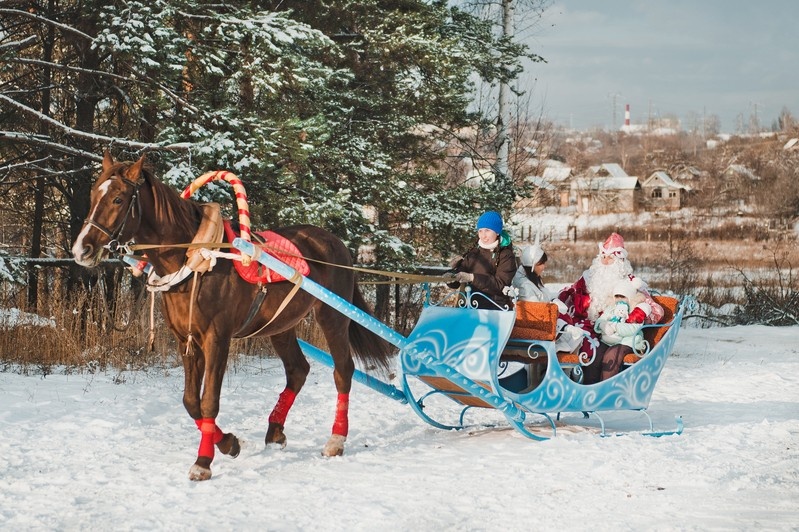    Shutterstock/FOTODOM