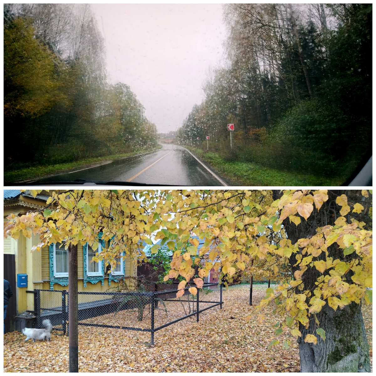 Приехали в субботу в дождь